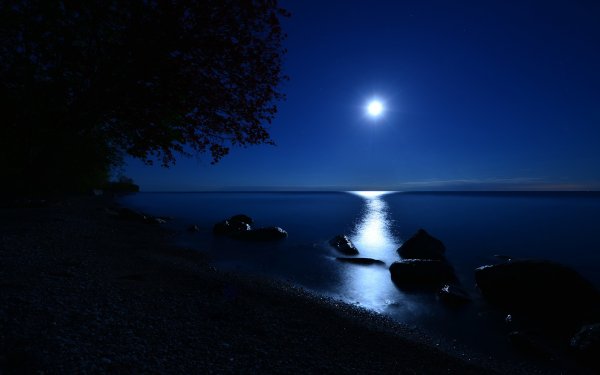 Earth Night Bay Moon Moonlight Blue Horizon HD Wallpaper | Background Image