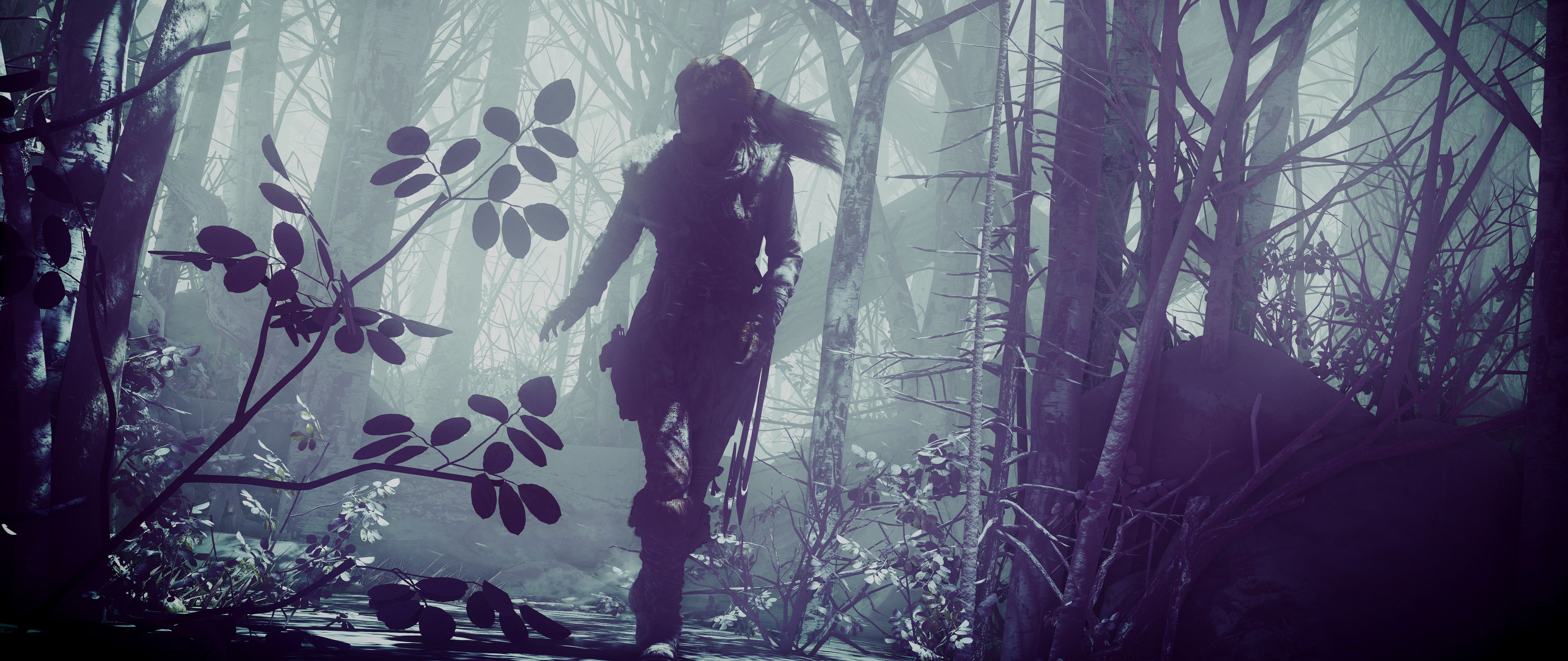 Forest rise. Tomb Raider лес. Rise of the Tomb Raider Wallpaper 4k.