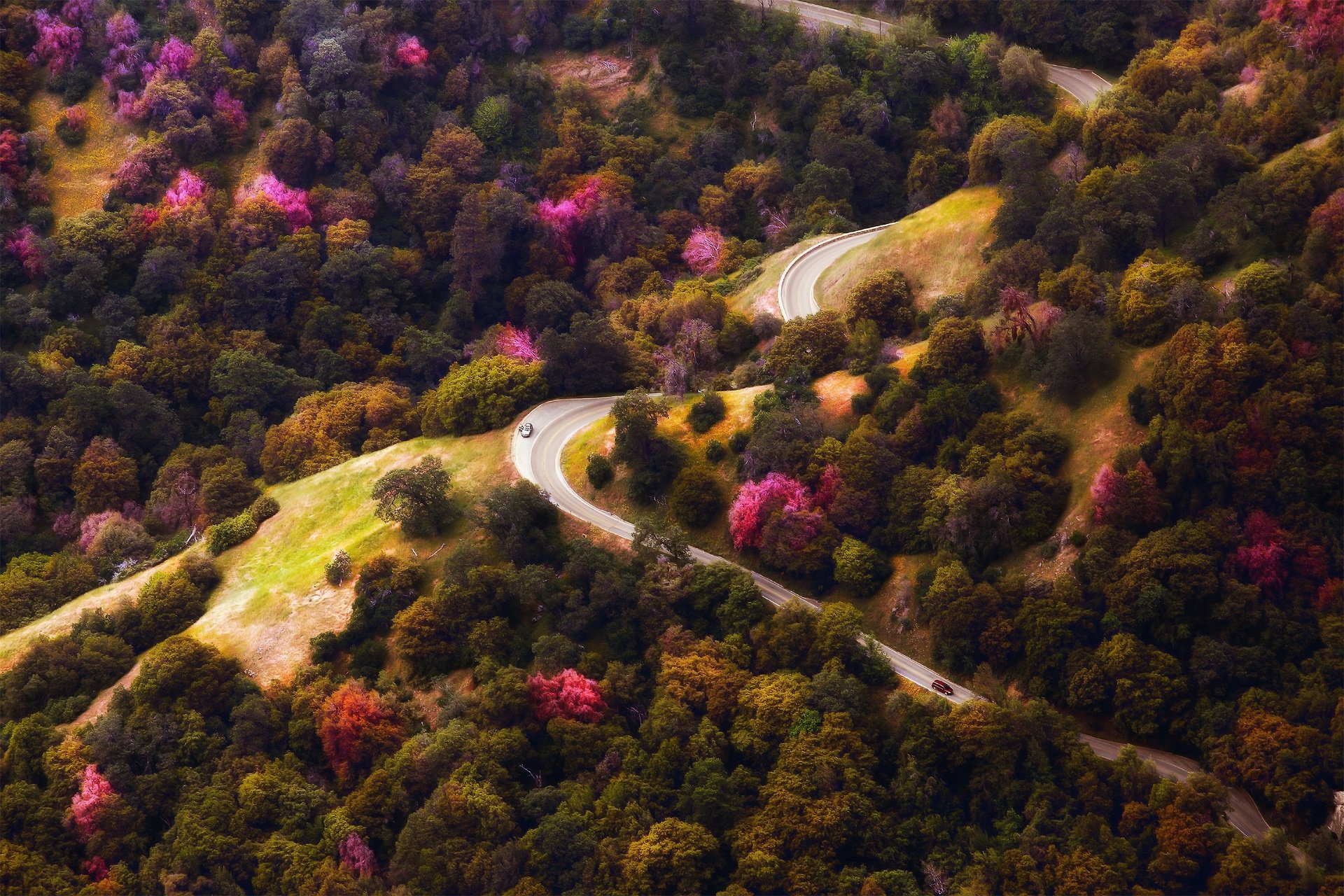 Download Car Road Hue Wood Photography Fall HD Wallpaper