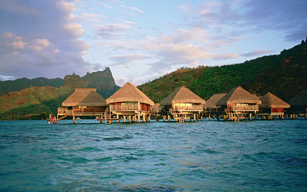  Tropical Beach Bungalows