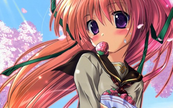 Anime Original Long Hair Orange Hair Strawberry bow Blush Purple Eyes Ponytail Cherry Blossom HD Wallpaper | Background Image