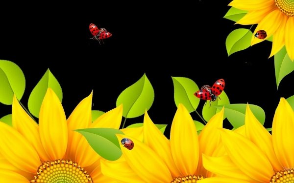 Artistic Flower Flowers Sunflower Ladybug Insect Yellow Flower HD Wallpaper | Background Image