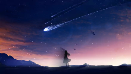 Anime-style HD desktop wallpaper of a night sky with a comet streaking across, featuring a lone figure standing on a hilltop in a serene, starry landscape.