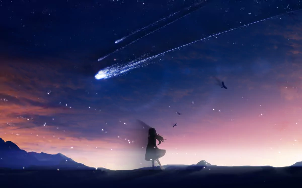 Anime-style HD desktop wallpaper of a night sky with a comet streaking across, featuring a lone figure standing on a hilltop in a serene, starry landscape.