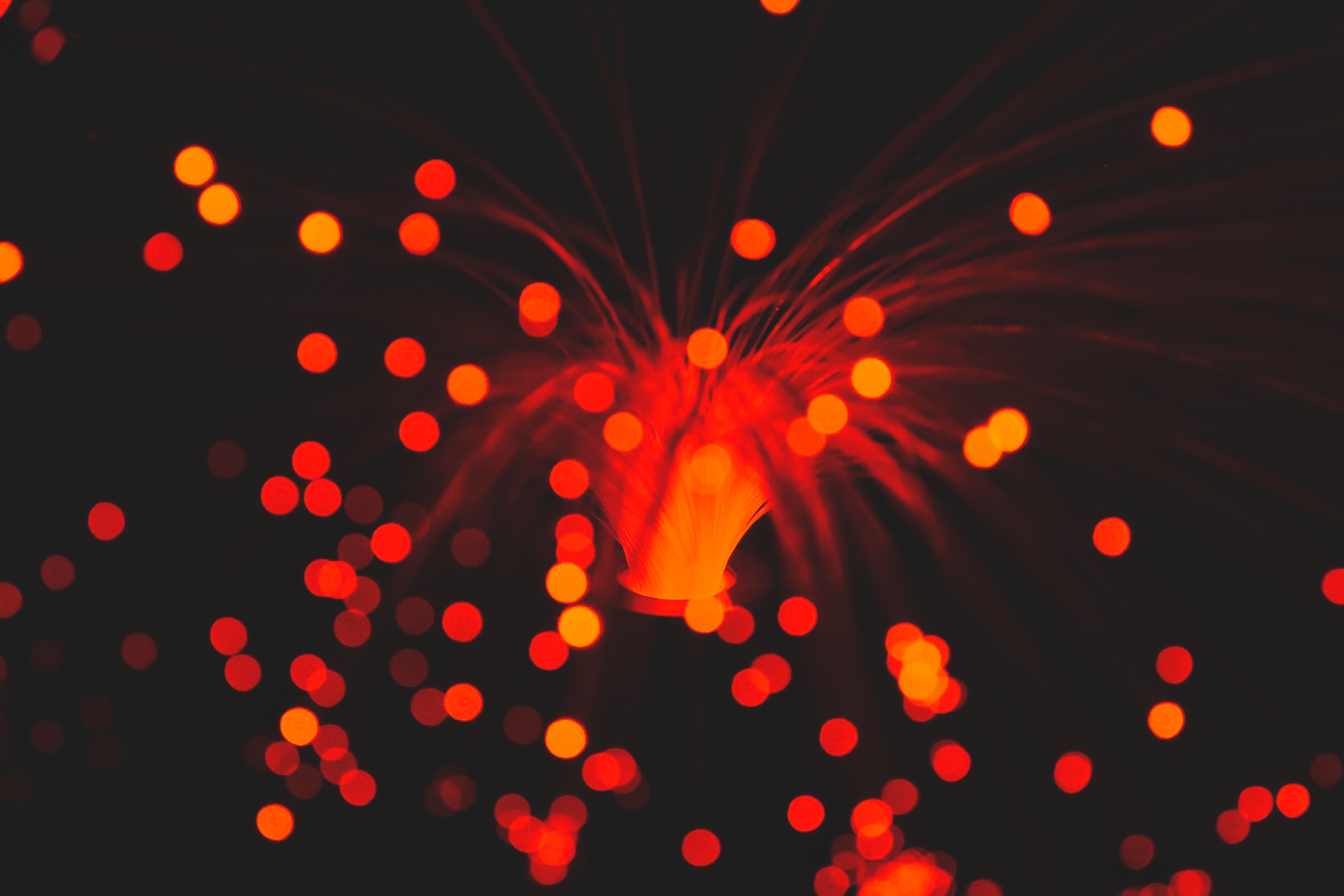 Download Orange (Color) Bokeh Abstract Light 4k Ultra HD Wallpaper