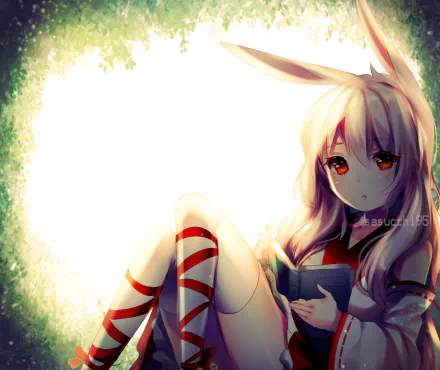 HD PC desktop wallpaper: original anime of a blonde, rabbit-eared girl with red eyes reading a book in warm sunlight against a soft, bright background.