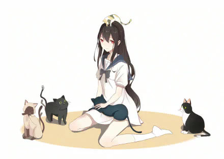 long hair black hair school uniform red eyes cat Anime Original anime cat HD Desktop Wallpaper | Background Image