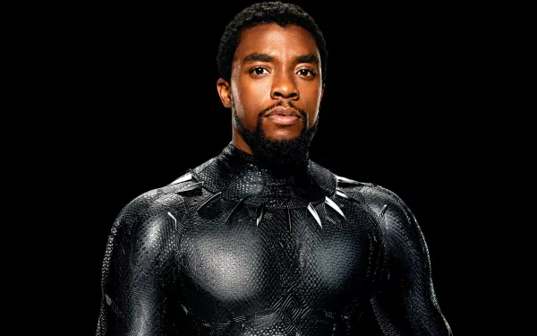 HD desktop wallpaper of Chadwick Boseman in his Black Panther costume, set against a black background.