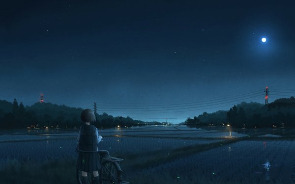 Anime Original Night Moon School Uniform Bag Bicycle Field Sky HD Wallpaper | Background Image