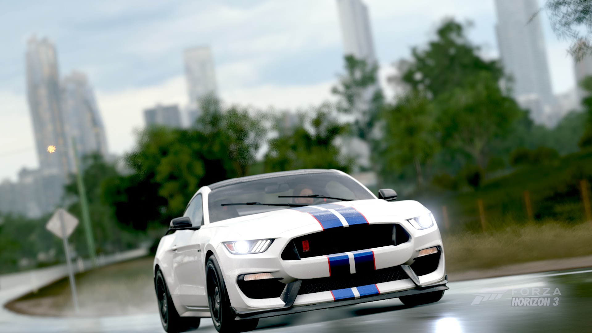 Ford Shelby GT350R HD Wallpapers and Backgrounds