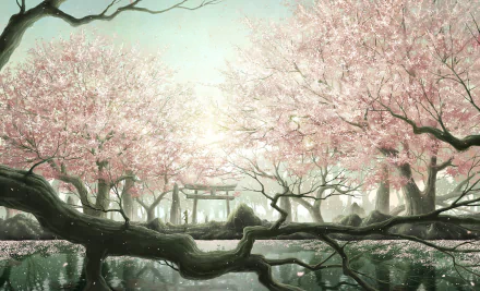 HD wallpaper of an anime scene featuring a serene lake surrounded by cherry blossom trees in full bloom, with the sun shining through the forest, creating a peaceful and enchanting atmosphere.