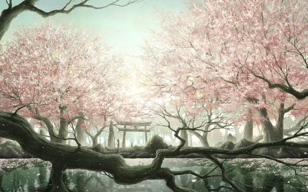 Anime Original Cherry Blossom Tree Gate Sunshine Sky Lake Forest HD Wallpaper | Background Image