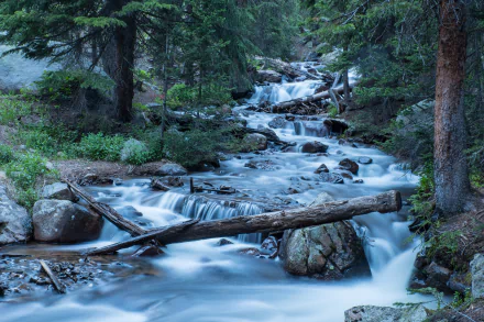 foam nature river HD Desktop Wallpaper | Background Image