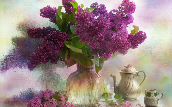 purple flower cup pitcher mirror vase lilac photography still life HD Desktop Wallpaper | Background Image