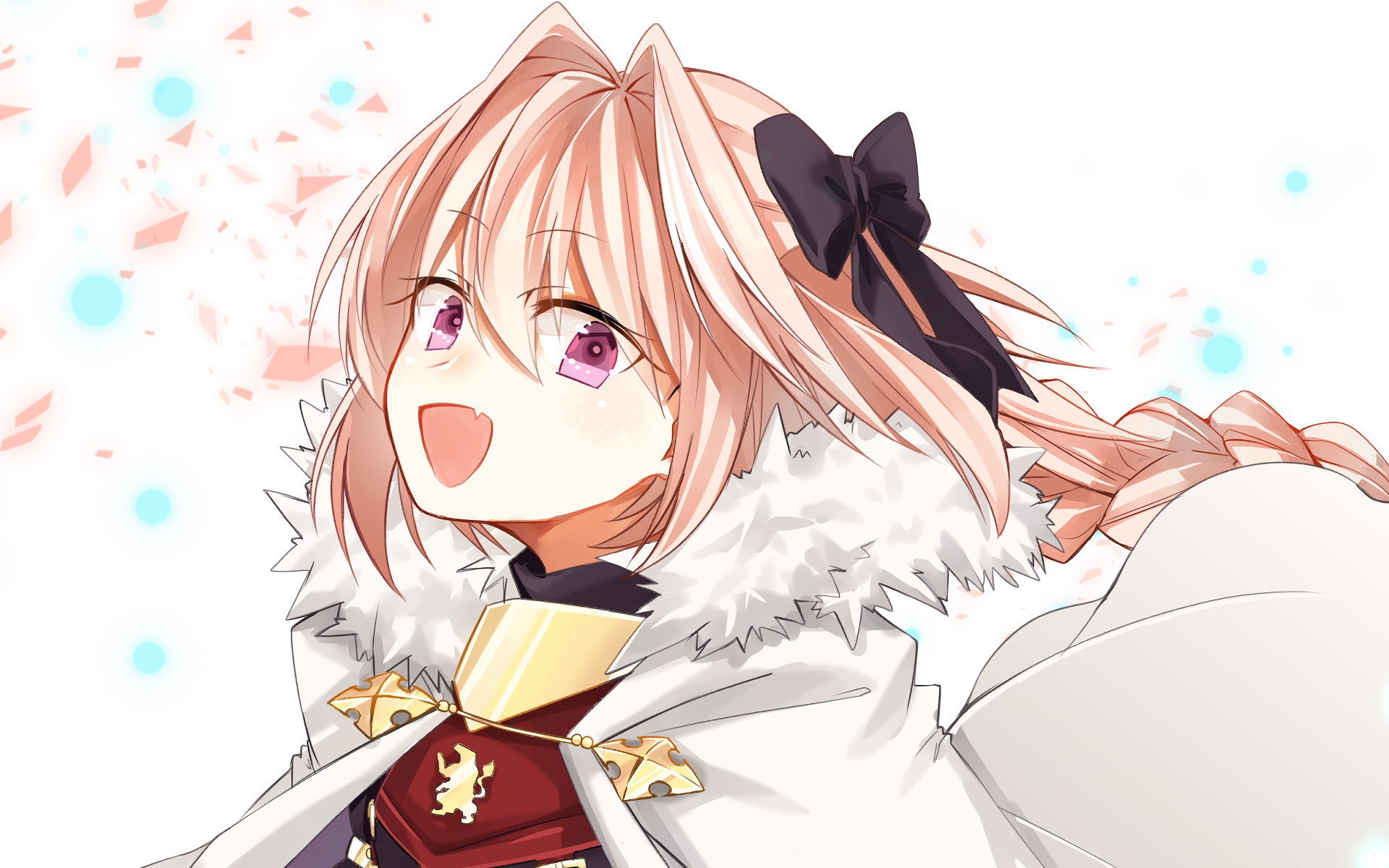 Download Rider Of Black (Fate/Apocrypha) Anime Fate/Apocrypha HD Wallpaper