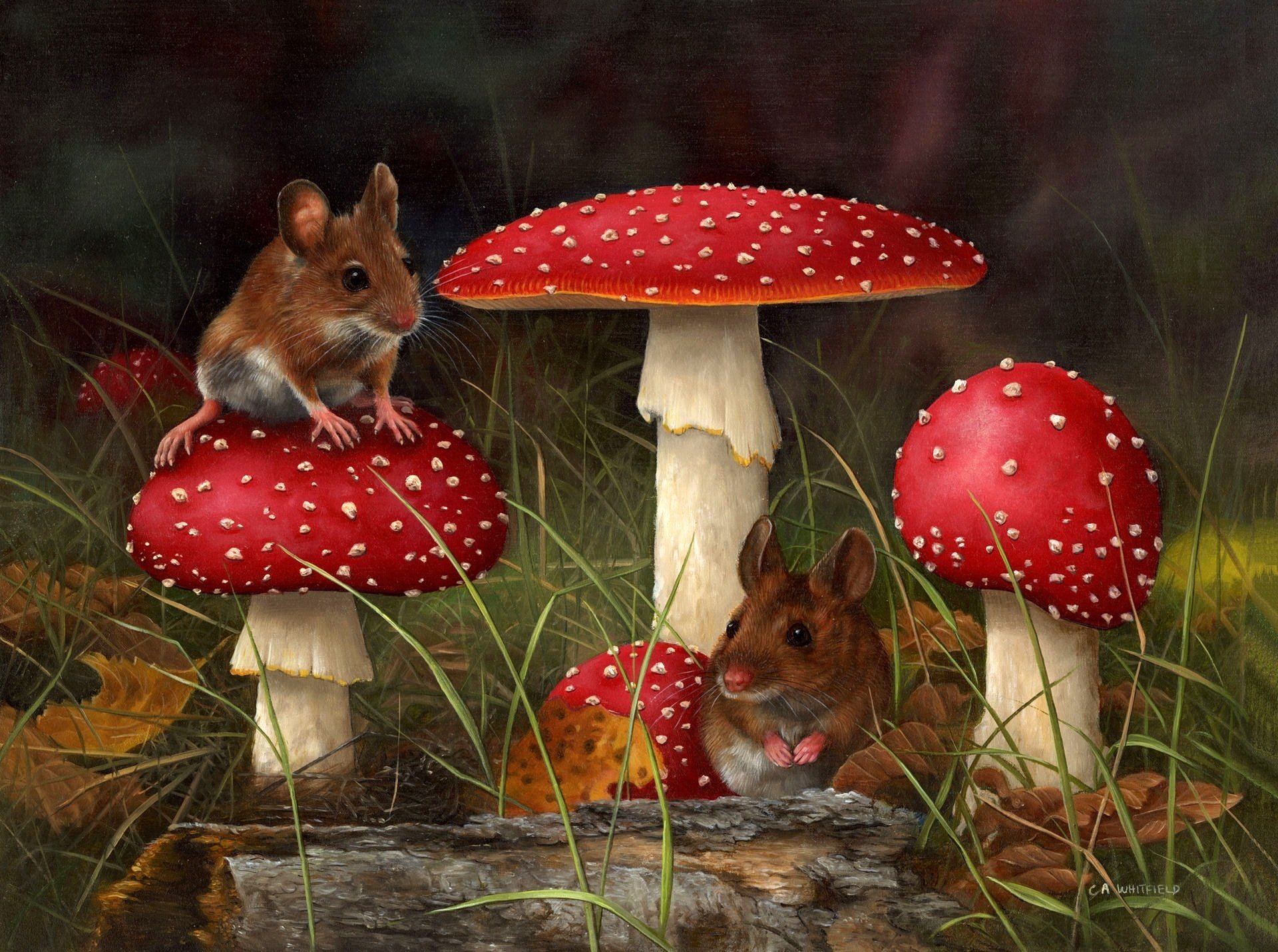 Artistic painting of two mice amidst vibrant, red mushrooms in a fall setting. This HD desktop wallpaper captures the beauty of nature with intricate details and vivid colors.