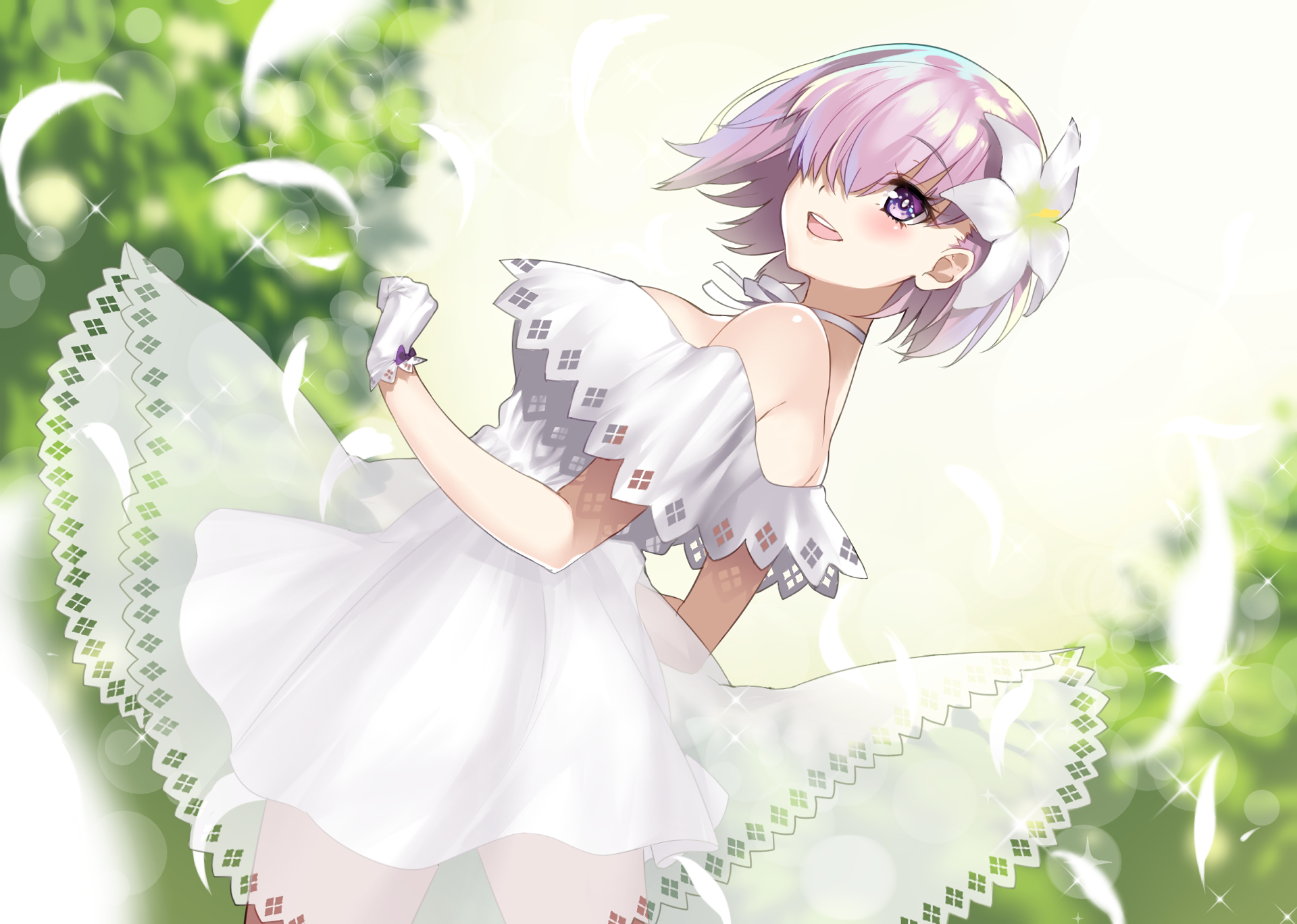 HD anime desktop wallpaper featuring Shielder from Fate/Grand Order in a flowing white dress with soft lighting and a bright, nature-inspired background.