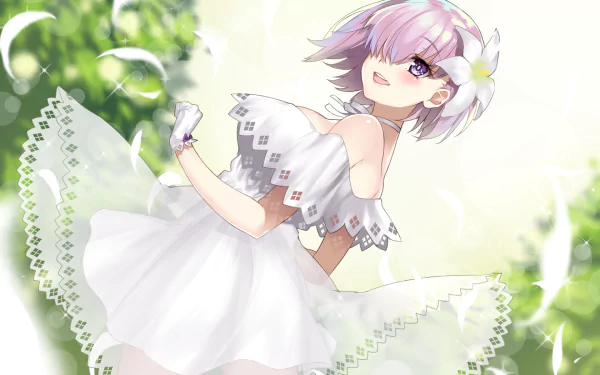 Shielder (Fate/Grand Order) Anime Fate/Grand Order HD Desktop Wallpaper | Background Image