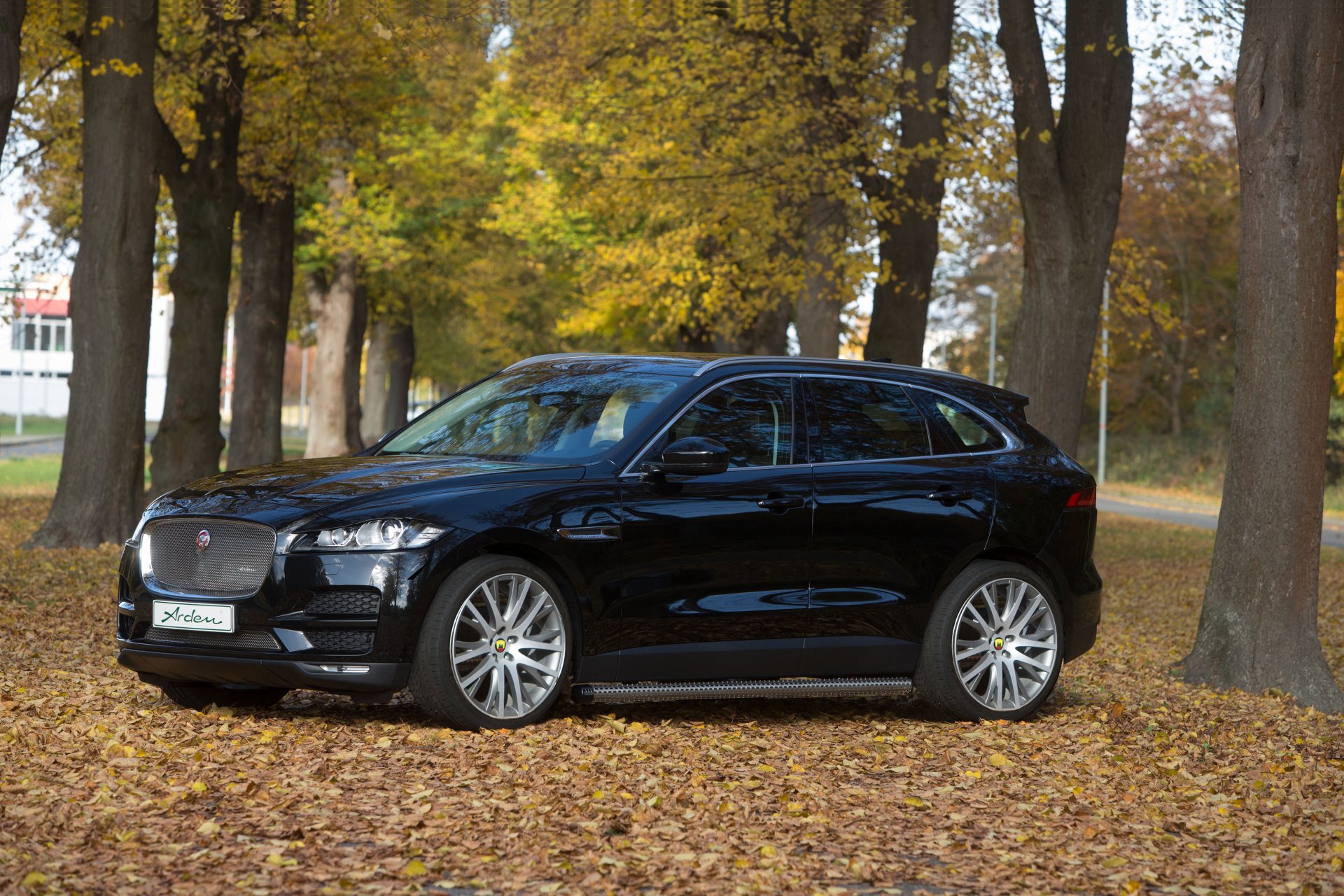 HD desktop wallpaper featuring a sleek black Jaguar F-PACE SUV, parked in a serene autumn forest setting with fallen leaves on the ground.