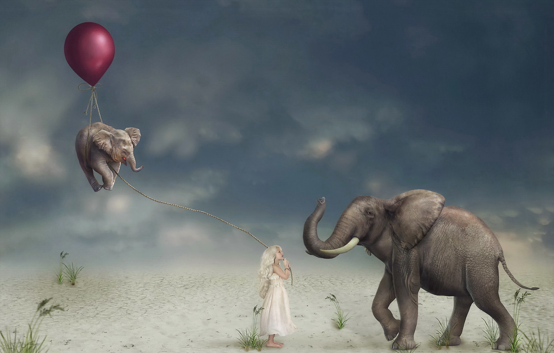 Download Elephant Balloon Little Girl Manipulation Fantasy Child HD