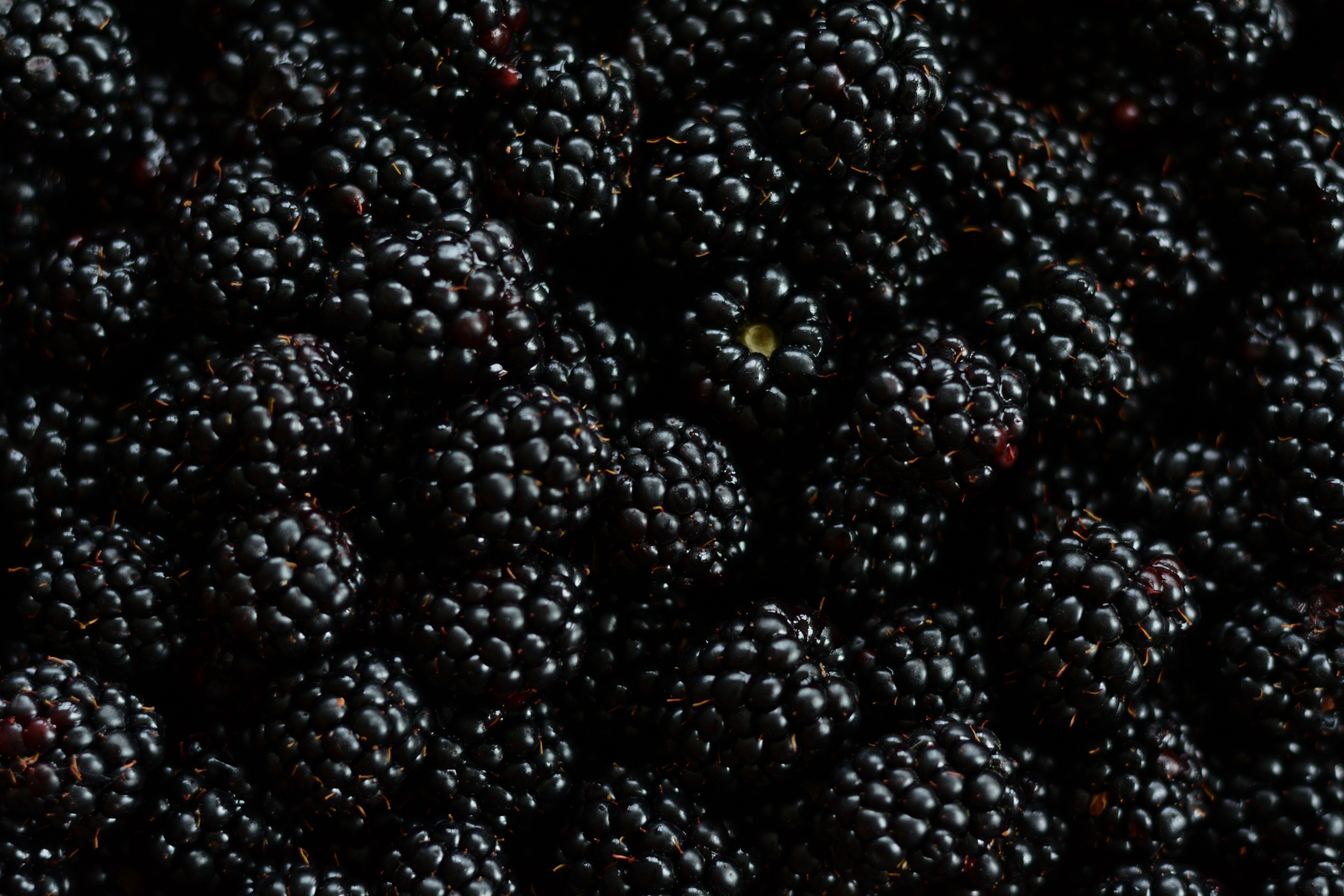 Blackberry HD Wallpaper