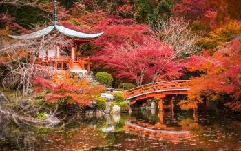 40 Kyoto 高清壁纸 桌面背景