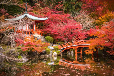 HD desktop wallpaper of Daigo-ji, a serene Japanese garden in Kyoto featuring a shrine, a pagoda, a red bridge over a pond, and vibrant autumn trees.