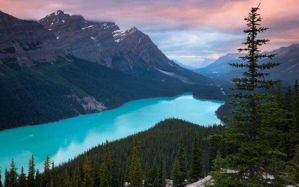  Peyto Lake in Canada