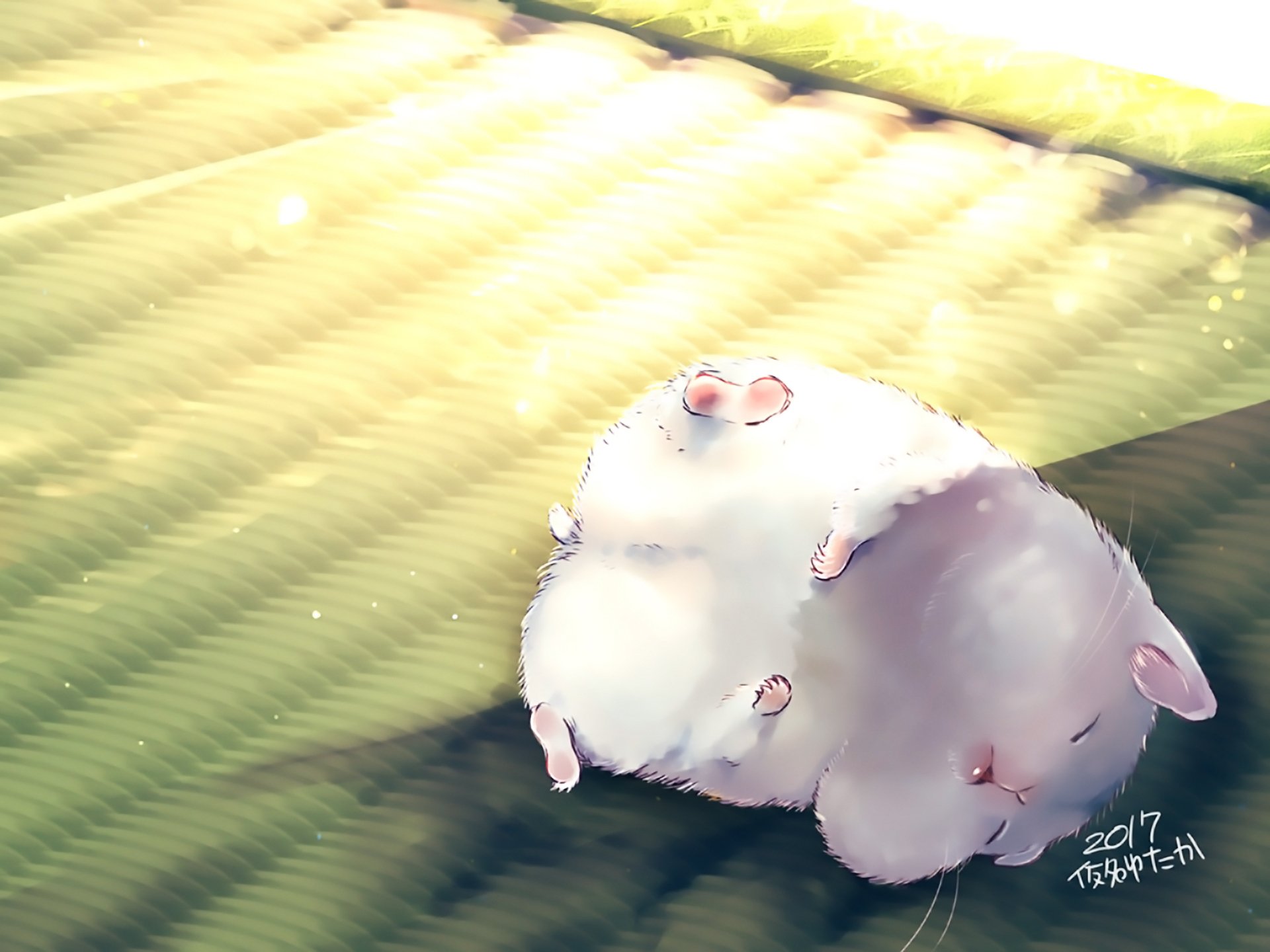 A cute anime-style hamster bathed in warm sunlight, casting soft shadows on a textured surface, depicted in vibrant HD for a charming PC desktop wallpaper.