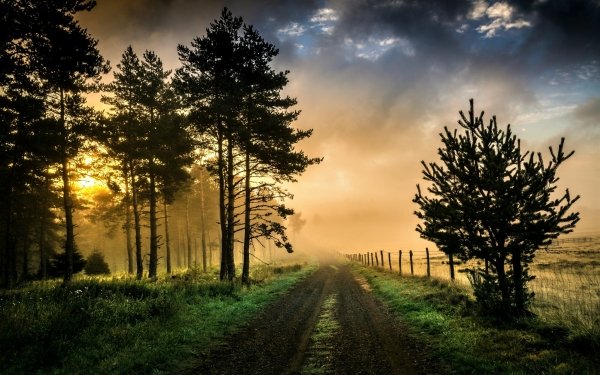 Earth Fog Road Dirt Road Country Tree Grass Field Fence HD Wallpaper | Background Image