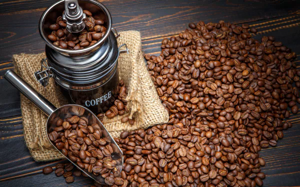coffee beans food coffee HD Desktop Wallpaper | Background Image