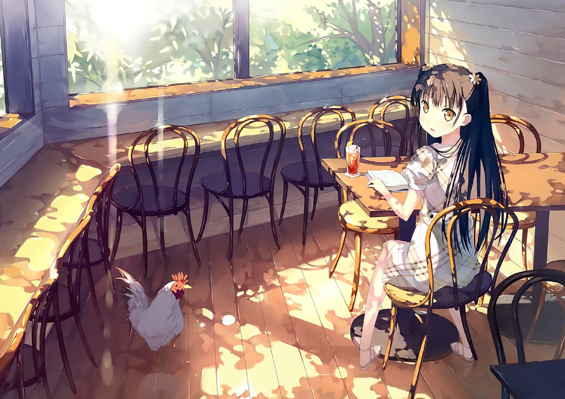 A long-haired anime girl in a dress sits at a sunlit wooden table and chair, sharing a peaceful moment with a chicken in an original 5 Nenme no Houkago HD desktop wallpaper.
