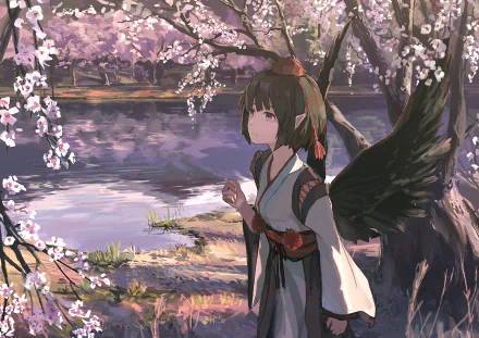 Aya Shameimaru Anime Touhou HD Desktop Wallpaper | Background Image