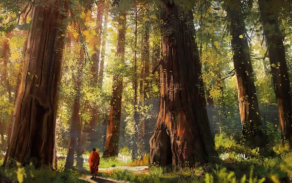 Fantasy Forest Monk Tree Peace HD Wallpaper | Background Image