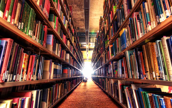book shelf man made library HD Desktop Wallpaper | Background Image