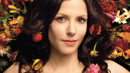 TV Show Weeds (TV Show) HD Desktop Wallpaper | Background Image