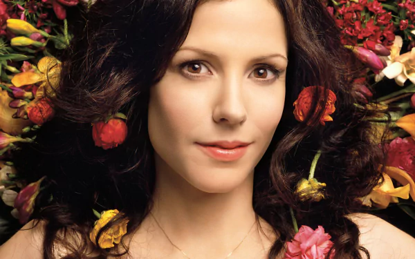 TV Show Weeds (TV Show) HD Desktop Wallpaper | Background Image