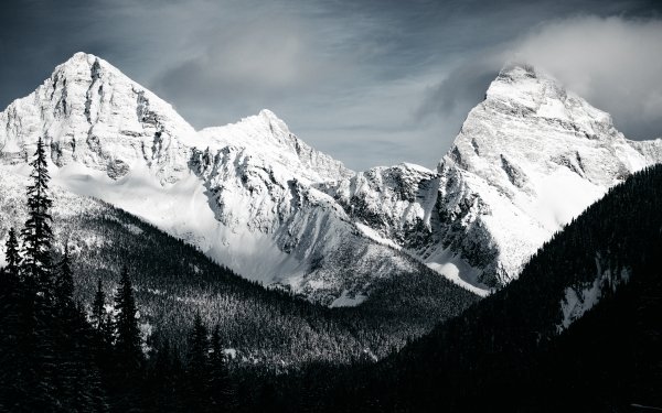 Tierra/Naturaleza Montaña Montañas Naturaleza Blanco y negro Peak Snow Bosque Fondo de pantalla HD | Fondo de Escritorio