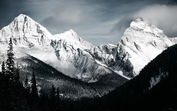 Black and white HD wallpaper of snowy peaks surrounded by a forest. The natural scenery showcases the serene beauty of a winter mountain landscape.