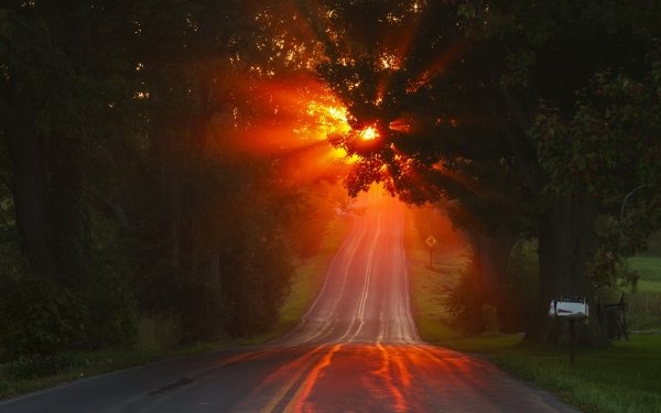 Man Made Road Sunbeam Sunset Tree HD Wallpaper | Background Image
