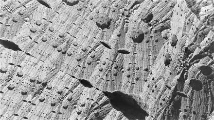  Lunar Rock