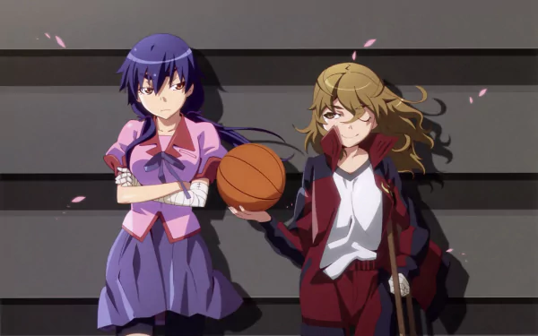 Rouka Numachi Suruga Kanbaru Anime Monogatari (Series) HD Desktop Wallpaper | Background Image