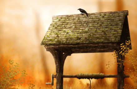  Raven on Top of Well