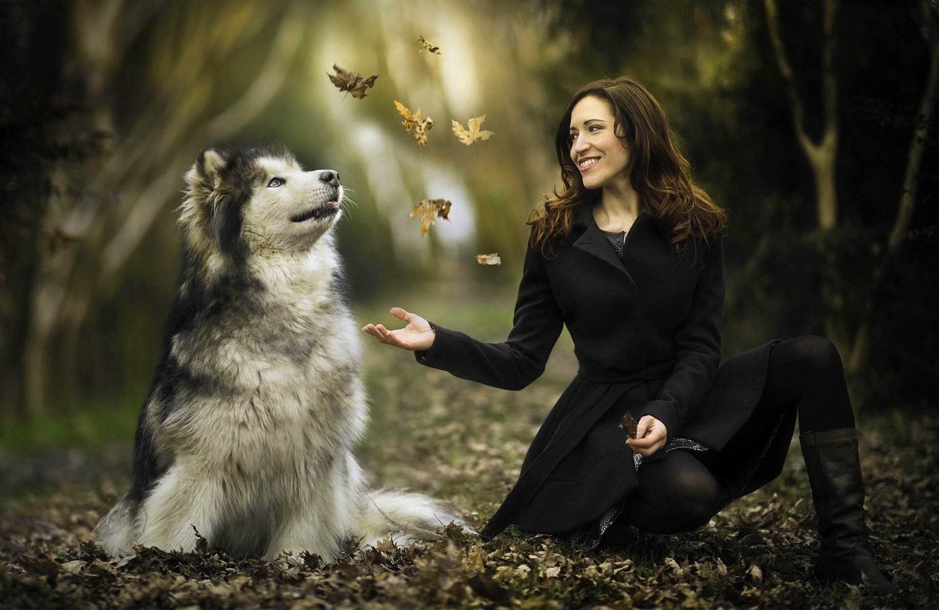 Brunette woman smiling and sitting on a forest floor next to an Alaskan Malamute dog, with butterflies fluttering in soft, blurred depth of field background.