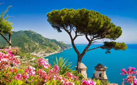 HD desktop wallpaper of the Amalfi Coast in Italy featuring vibrant pink flowers, a lone tree, and a breathtaking view of the turquoise sea and coastline.