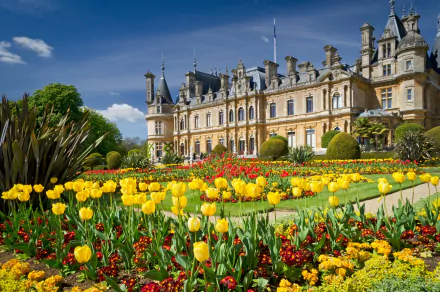 building England mansion red flower pink flower flower garden tulip man made Waddesdon Manor HD Desktop Wallpaper | Background Image