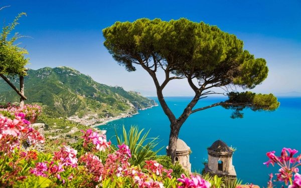 Man Made Amalfi Towns Italy Ocean Sea Flower Horizon Tree Pink Flower Coastline HD Wallpaper | Background Image