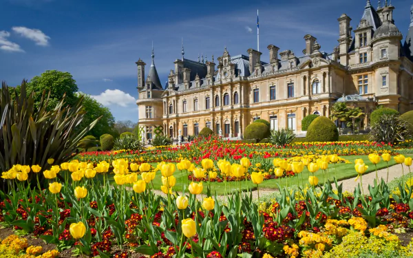 HD PC desktop wallpaper: Waddesdon Manor, a man-made English mansion set behind formal gardens of yellow, red and pink tulips and vibrant flowerbeds.