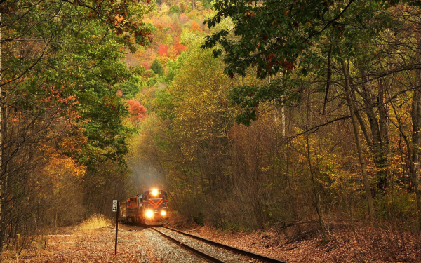Vehicles Train Railroad Forest Fall HD Wallpaper | Background Image