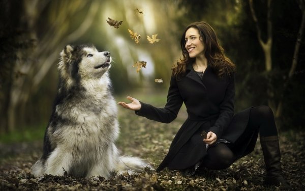 Women Mood Alaskan Malamute Model Dog Depth Of Field Smile Brunette HD Wallpaper | Background Image